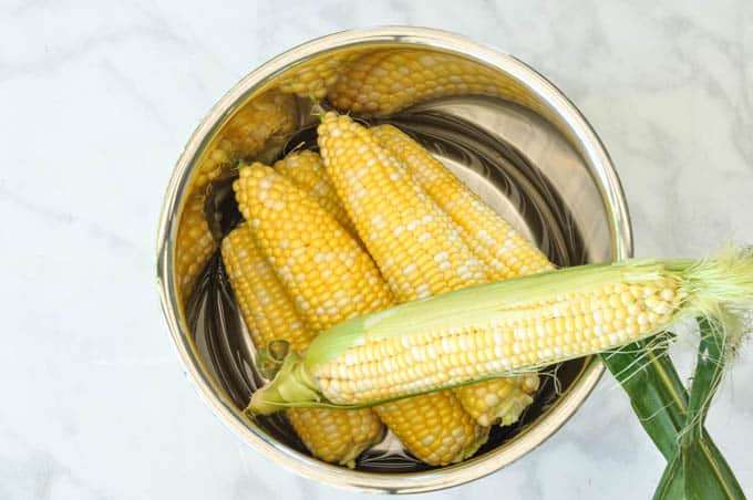 4 fresh ears of corn in an instant pot over head view.