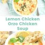 Lemon Chicken Orzo Chickpea Soup (Instant Pot cooked chicken)