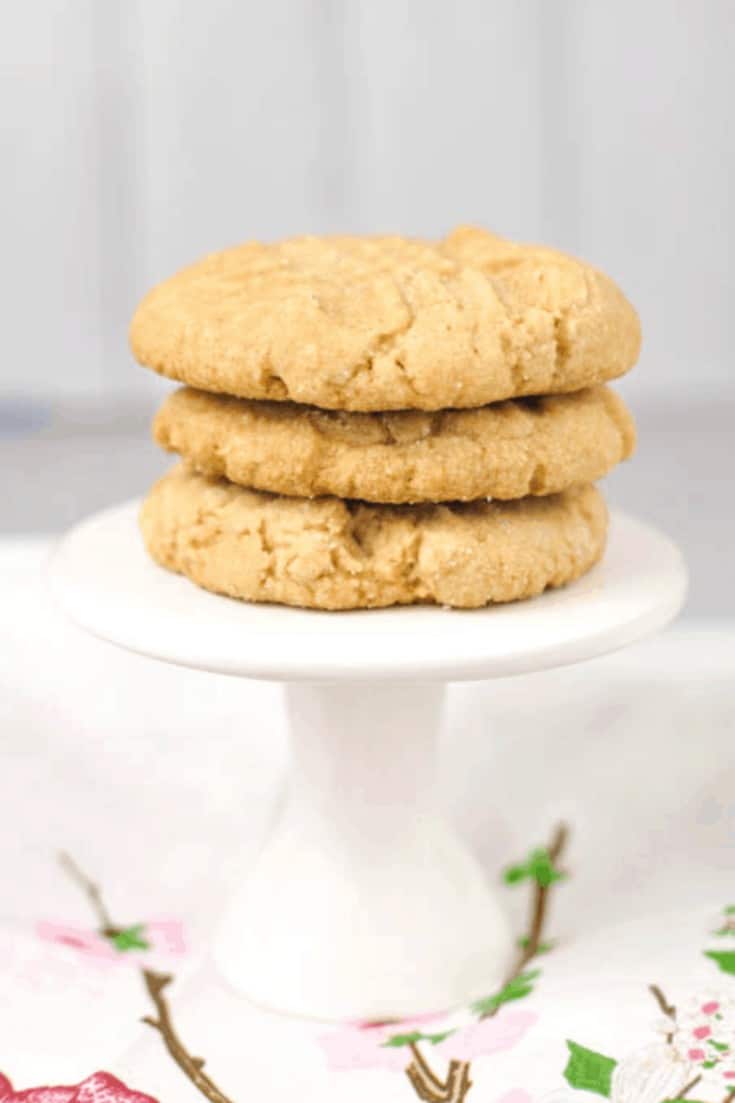 Peanut Butter Cookies Hand Mixer Pantry Ingredients Crafting a Family