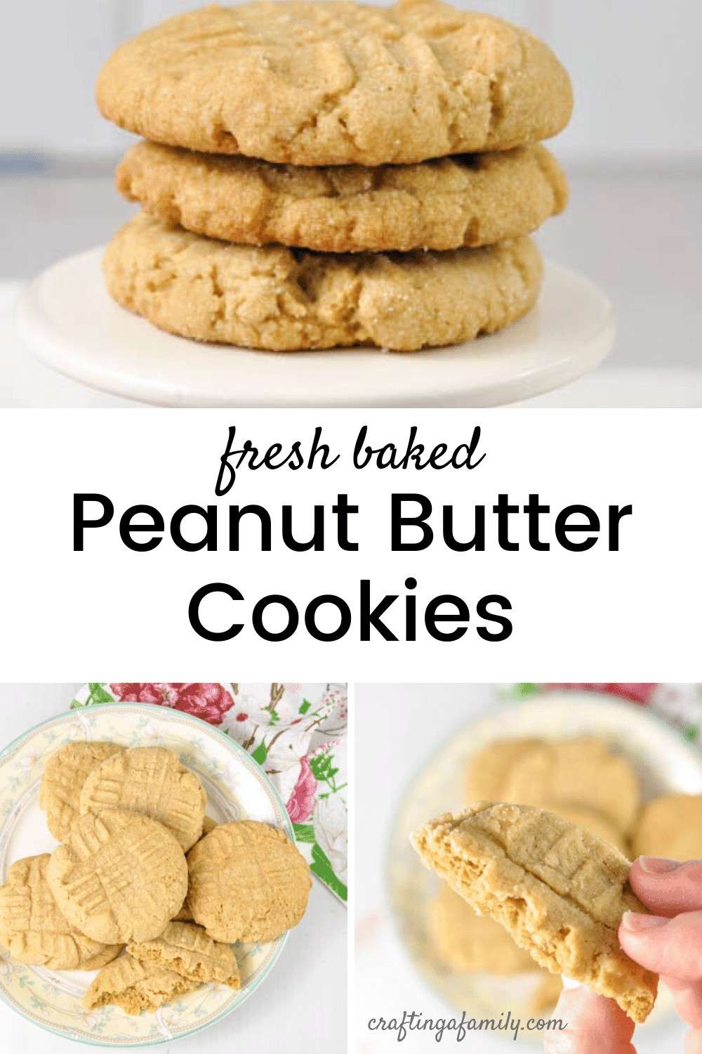 Peanut Butter Cookies Hand Mixer Pantry Ingredients Crafting a Family