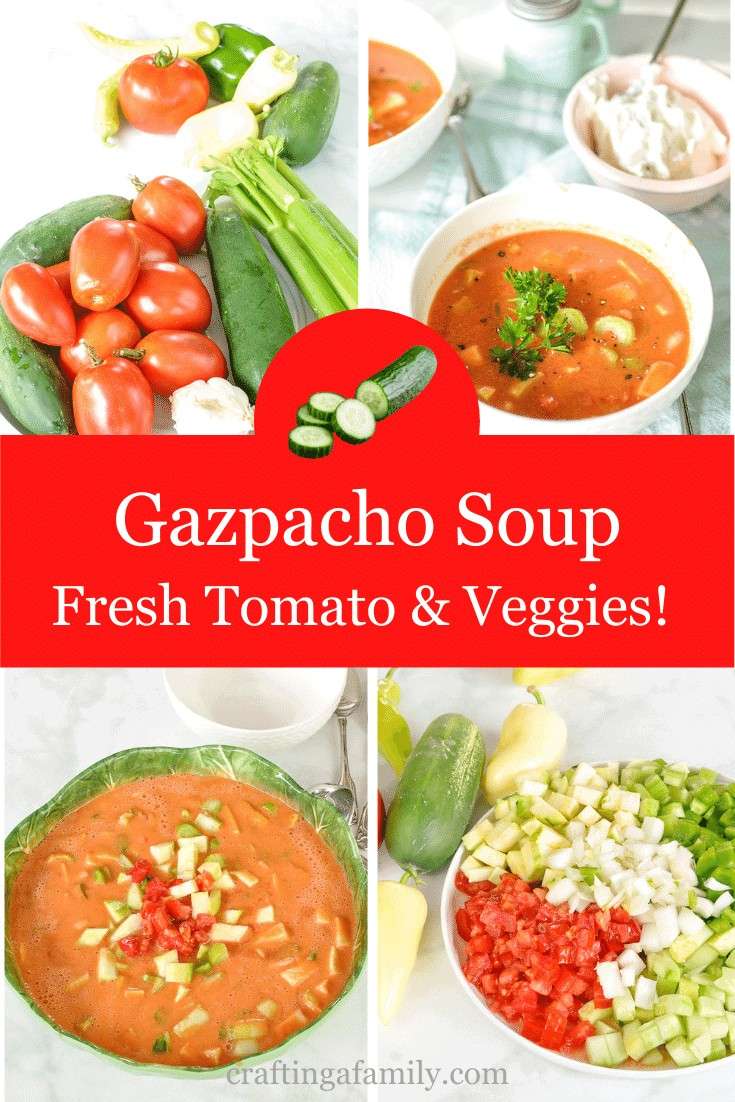 Cold Tomato Gazpacho Soup - Crafting a Family Dinner