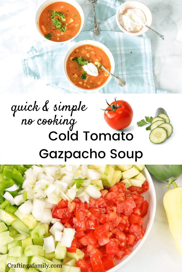 Cold Tomato Gazpacho Soup - Crafting a Family Dinner