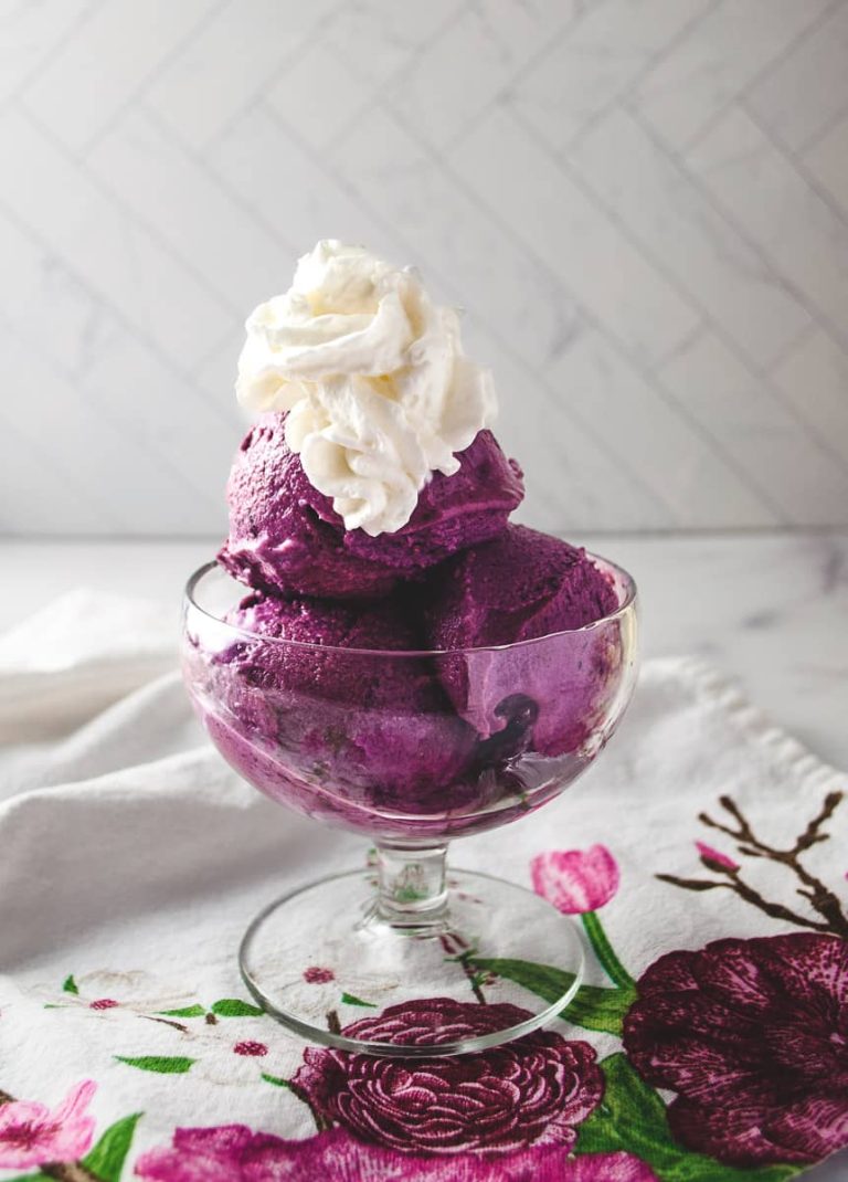 Blueberry Frozen Greek Yogurt with Ninja Creami Crafting a Family Dinner