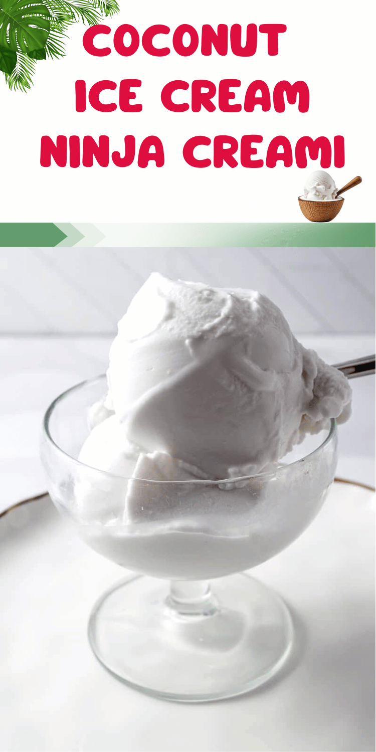 Dairy-Free Vanilla Coconut Ice Cream Ninja Creami 3 scoops of ice cream in n a black bowl with a spoon and a swirl of whip cream on top. with palm leaves and a green stripe