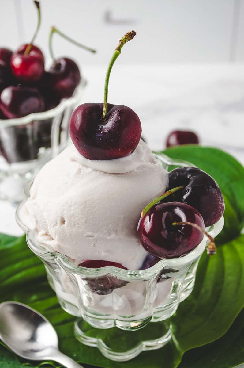 Close-up scoop of creamy Cherry Frozen Yogurt in a vintage glass dish, topped with fresh cherries and served on a green leaf. This easy Cherry Ninja Creami dessert uses Frozen Cherry Recipes Healthy ingredients for a refreshing summer treat. A simple Ninja Creami Frozen Yogurt Recipe made with Ninja Creami Frozen Fruit for a smooth, homemade Frozen Yogurt Recipe the whole family will love.