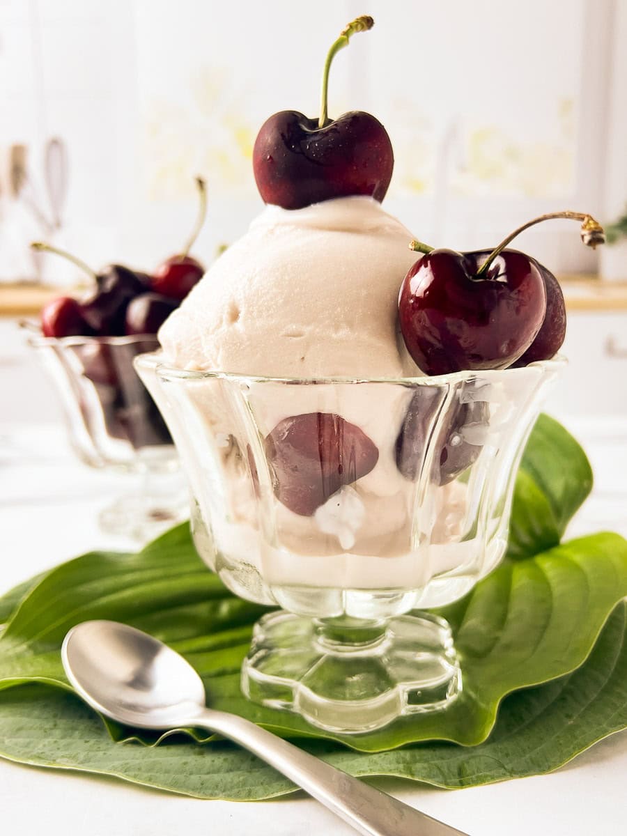 close up of the front of Glass dish of creamy Cherry Frozen Yogurt topped with fresh cherries, served on a green leaf with a spoon. This homemade Cherry Ninja Creami dessert is made with a simple Frozen Yogurt Recipe using Ninja Creami Frozen Fruit. A refreshing and healthy option for Frozen Cherry Recipes and perfect for trying Ninja Creami Frozen Yogurt Recipe ideas at home.