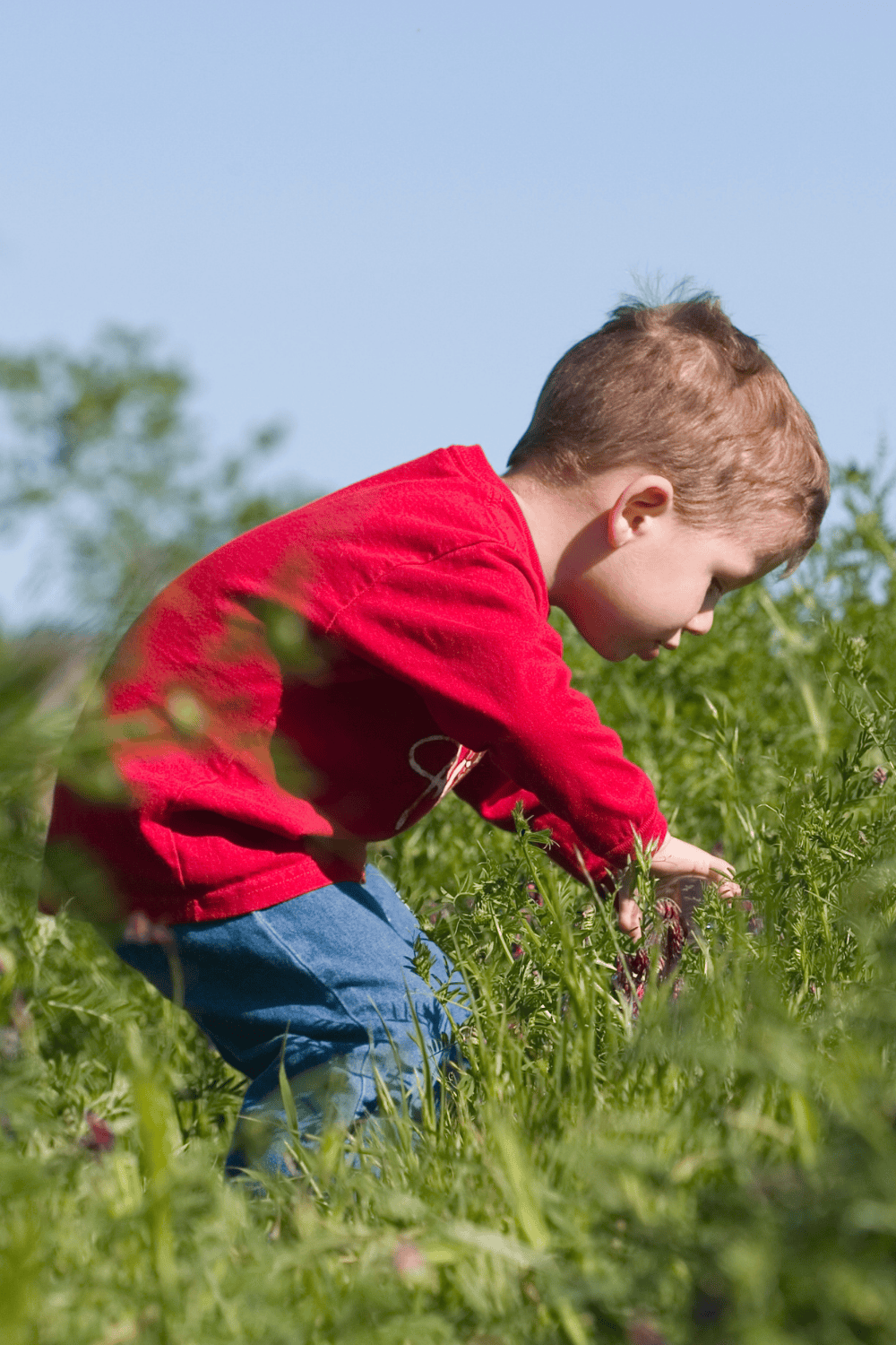 Young boy exploring tall grass and picking flowers during a simple nature scavenger hunt. Perfect for nature walk scavenger hunt for kids, outdoor scavenger hunt, scavenger hunt ideas for kids outdoor with clues, and summer scavenger hunt fun.