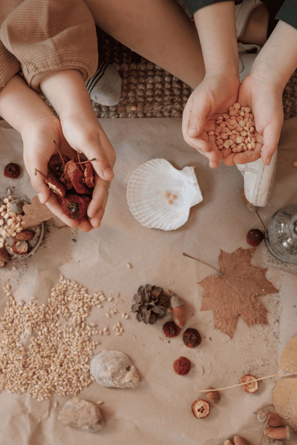 Children collecting natural items like leaves, seeds, pinecones, and shells during a simple nature scavenger hunt. Perfect for printable scavenger hunt for kids, nature walk scavenger hunt for kids, outdoor scavenger hunt, and picture scavenger hunts.