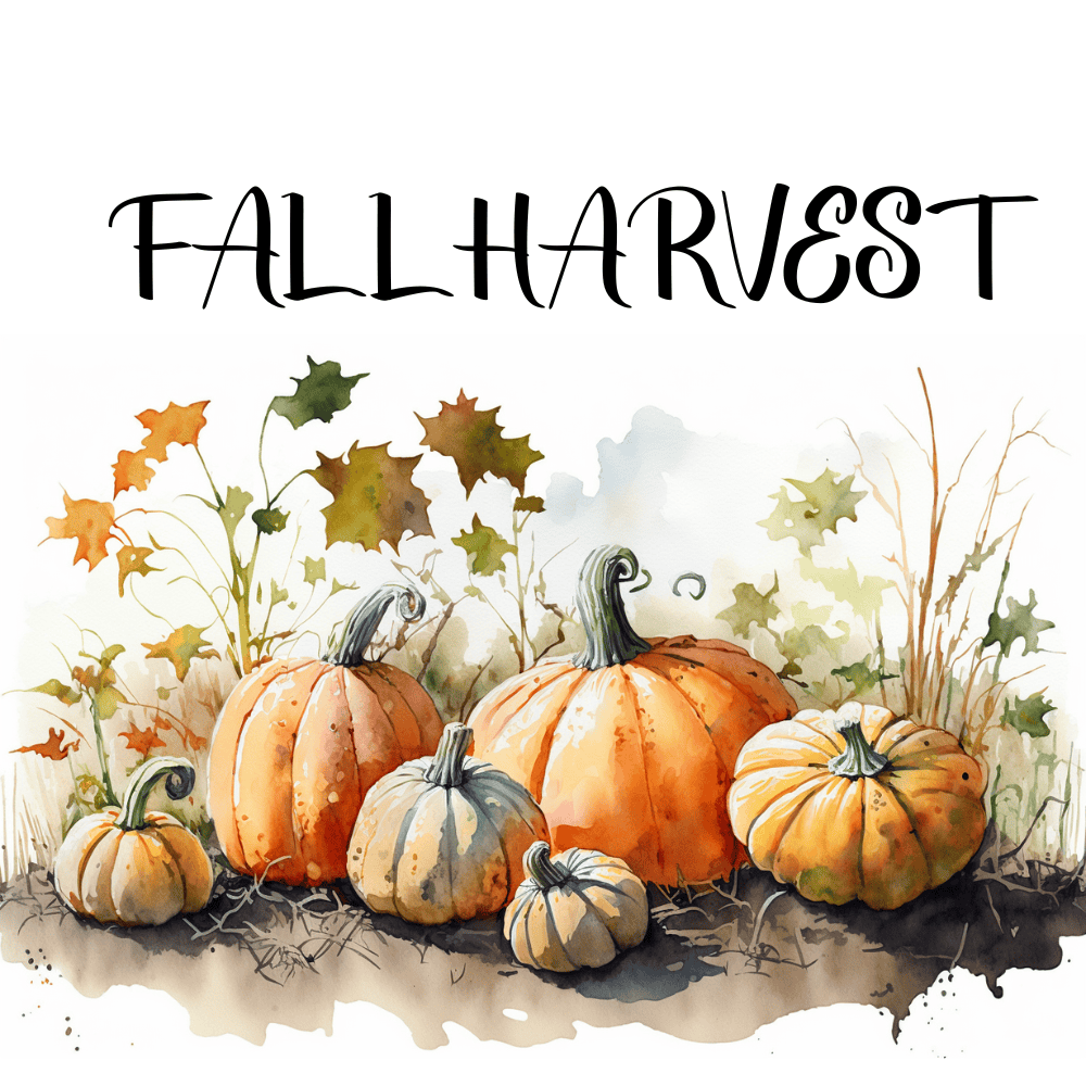 Fall harvest with a pumpkin patch and fall leaves
