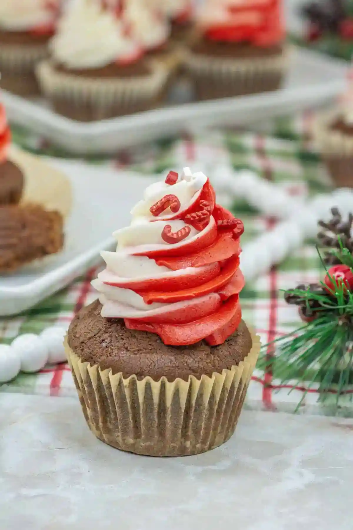 Enjoy the peppermint flavor with chocolate peppermint cupcakes that look amazing with candy cane frosting and topped with candy cane pieces or sprinkles.