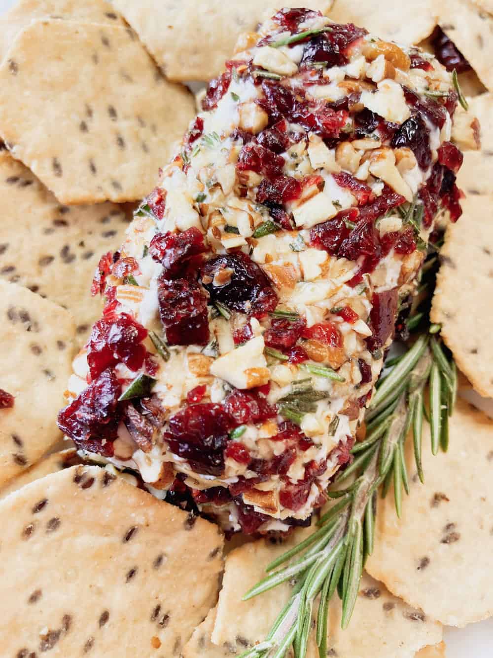 Cranberry Goat Cheese Appetizer log rolled in dried cranberries, rosemary, and nuts, served with seeded crackers β a quick and elegant option for holiday appetizers and festive cheese ball recipes.