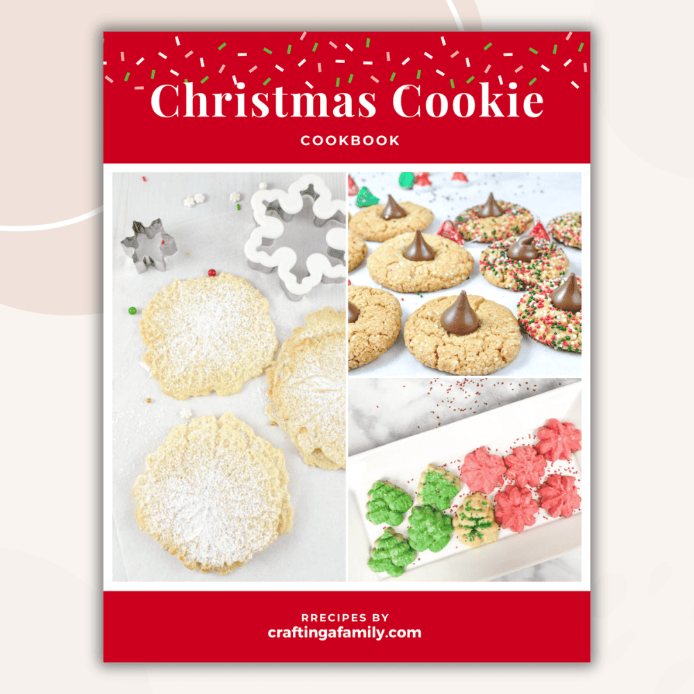 Christmas Cookie recipe book cover