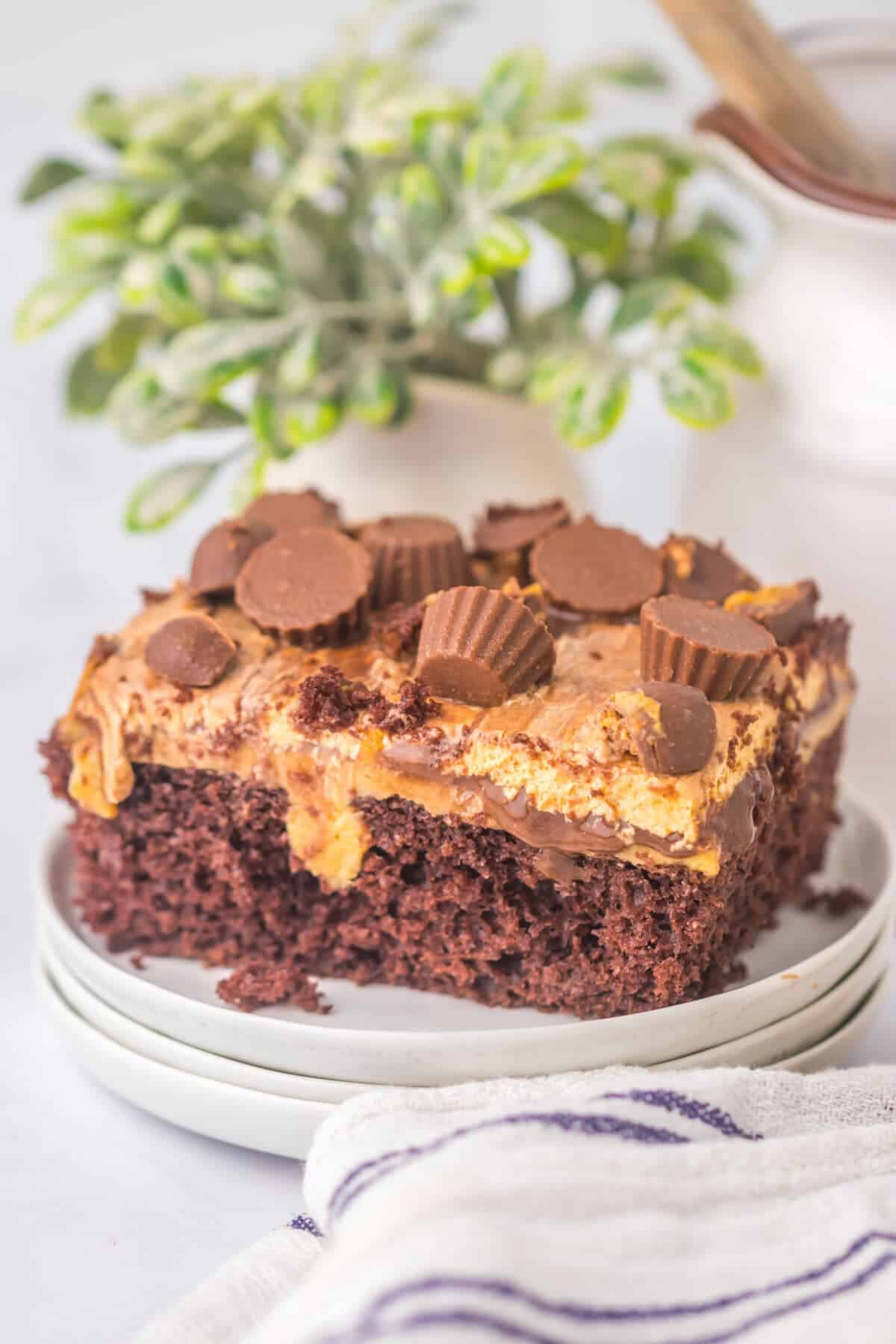A slice of chocolate peanut butter poke cake on a white plate, showing layers of moist chocolate cake, creamy peanut butter filling, and mini Reese's peanut butter cups on top, with a green plant in the background.